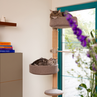 Krabpaal N°6 Groen - Geschikt voor twee katten (Demo)