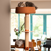 Krabpaal N°6 Groen - Geschikt voor twee katten (Demo)