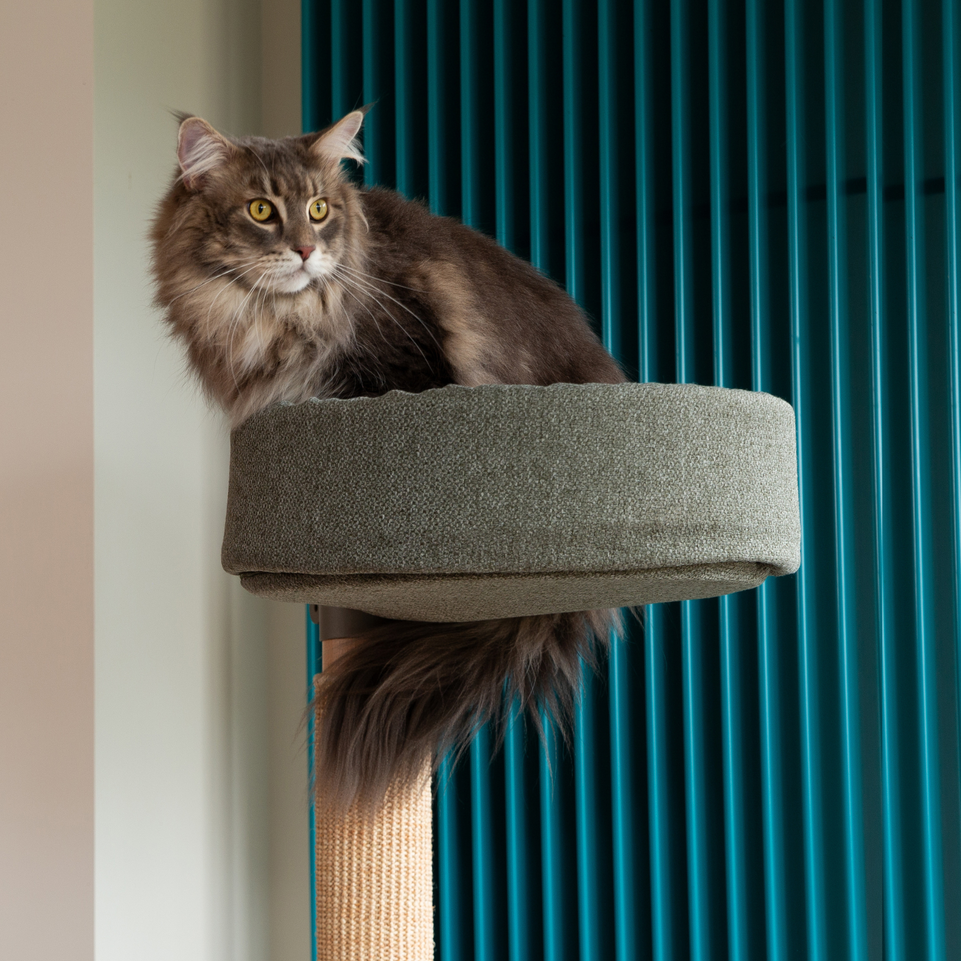 Krabpaal N°6 Groen - Geschikt voor twee katten (Demo)