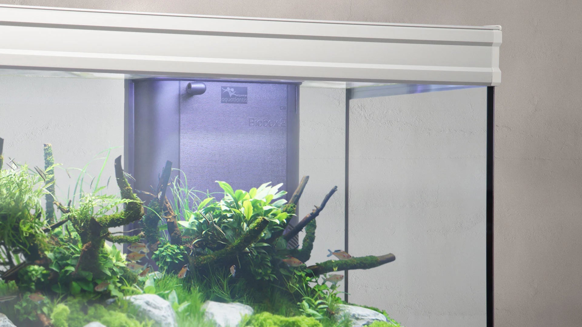 Aquatlantis Binnenfilter Systeem BioBox Nr. 2 (Demo)