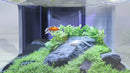 Aquatlantis Binnenfilter Systeem BioBox Nr. 2 (Demo)