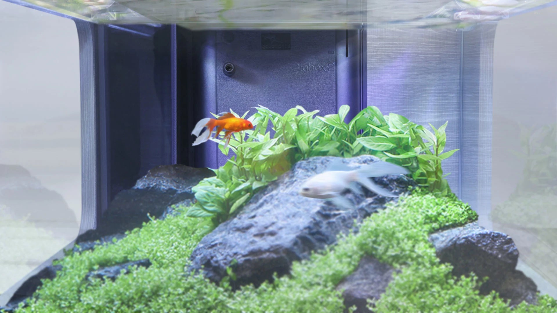 Aquatlantis Binnenfilter Systeem BioBox Nr. 2 (Demo)