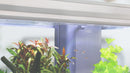 Aquatlantis Binnenfilter Systeem BioBox Nr. 2 (Demo)