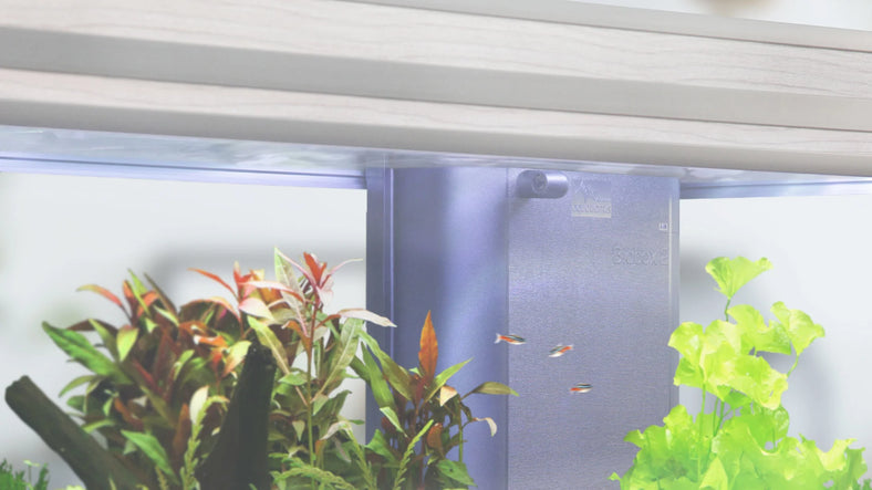 Aquatlantis Binnenfilter Systeem BioBox Nr. 2 (Demo)