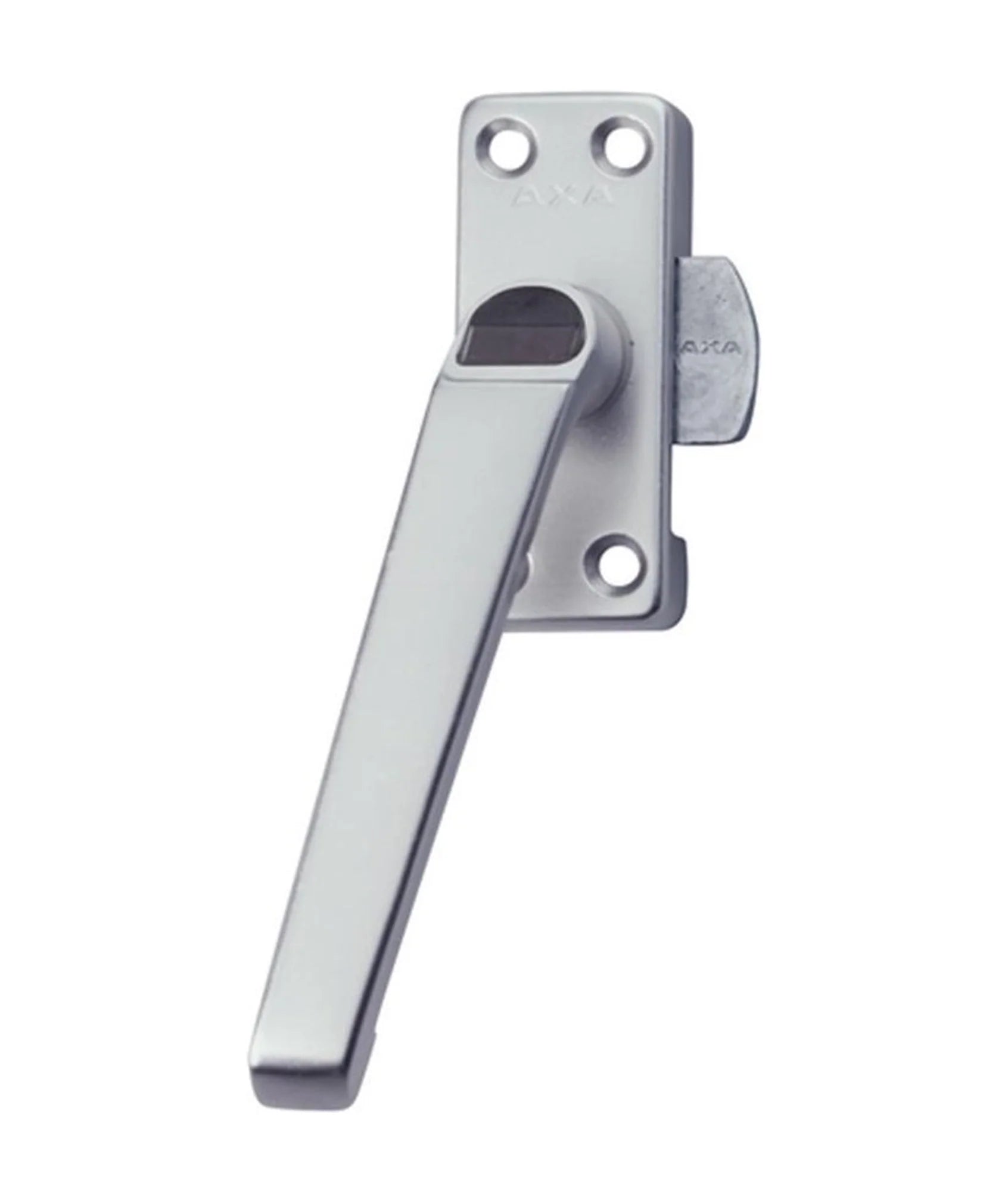 Grendel + sluitplaat