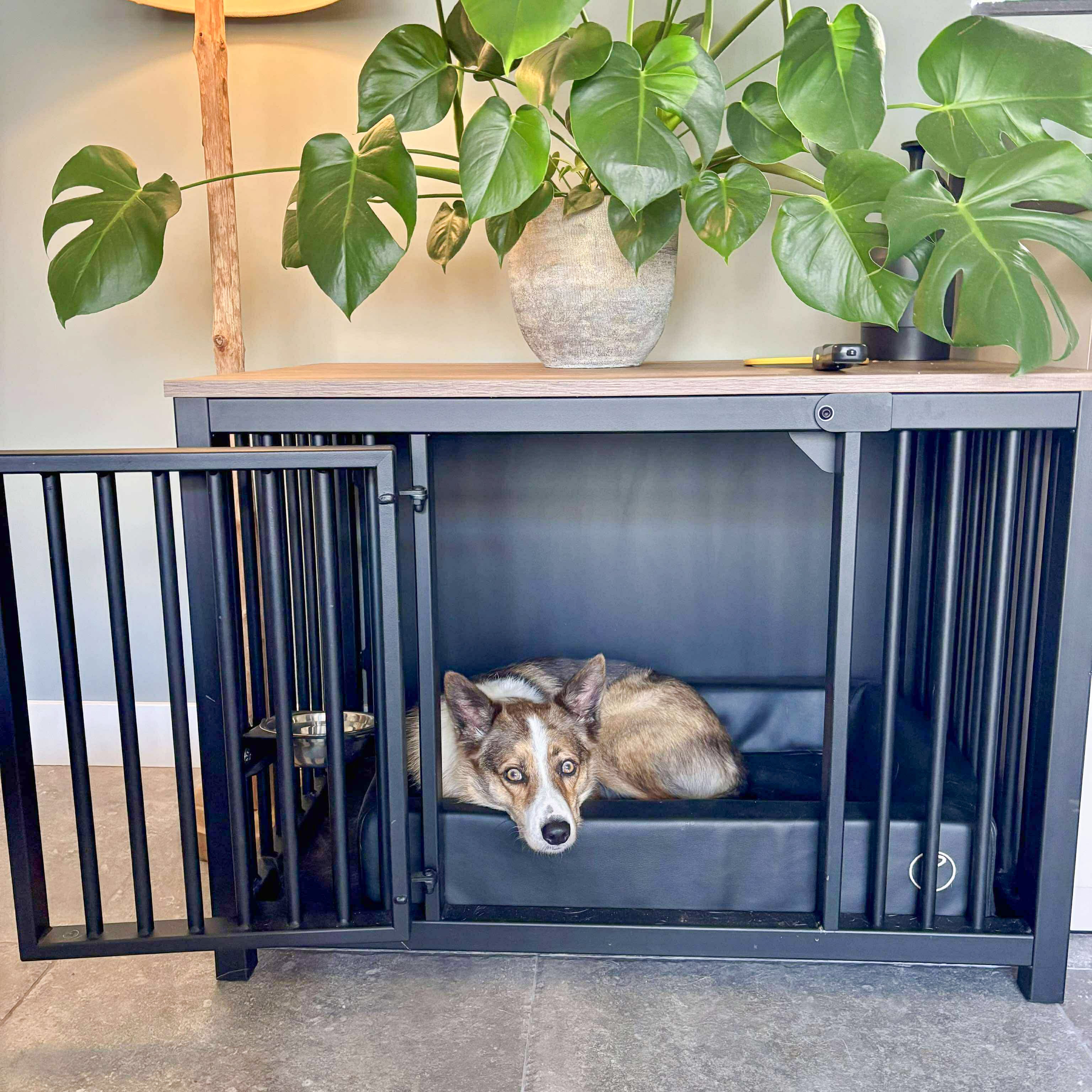 Stalen hondenbench voor in huis – (Demo)